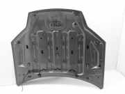 Motorhaube Renault Laguna III (T) 651000021R