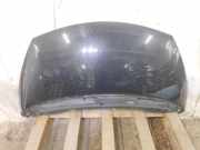 Motorhaube Renault Espace IV (K) NV676
