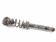 Stoßdämpfer links hinten BMW 5er (F10)