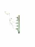 Einspritzleiste Renault Trafic III Kasten (FG) 175210542R