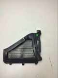 Grill Windlauf BMW X3 (F25) 9184004