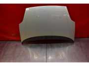 Motorhaube Fiat Punto (188)