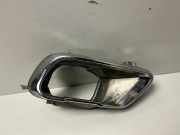 Auspuffdüse BMW X5 (G05) xDrive 25d 8074189