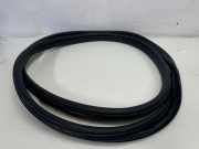 Türgummi links vorne Land Rover Discovery V (L462) HY32253A10AC