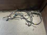 Motor Kabelbaum IVECO DAILY IV Furgon/Estate 29L12 V, 29L12 V/P 5801347594 504317642