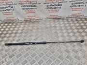 Gasfeder für Motorhaube VW Passat B5.5 (3B3) 3C0823359A