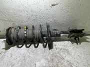 Stoßdämpfer vorne links FIAT FIORINO Furgon/Estate (225_) 1.3 D Multijet