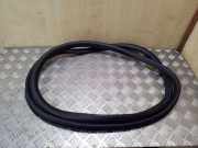 Türgummi rechts vorne VW Passat B7 (362) 3C4867911B