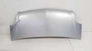 Motorhaube OPEL MOVANO Furgon (F9) 2.5 DTI