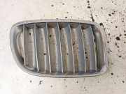 Vorderer oberer Gitter BMW X1 (E84) xDrive 18 d 2993308