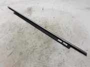 Türfensterleiste hinten rechts