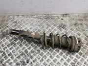 Stoßdämpfer hinten links LAND ROVER RANGE ROVER EVOQUE (L538) 2.2 D 4x4 BJ325534HD