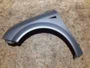 Kotflügel vorne links RENAULT GRAND SCÉNIC II (JM0/1_) 1.9 dCi (JM0G, JM12, JM1G, JM2C) 8200020568