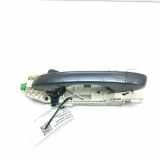 Türaußengriff vorne links VW TOUAREG (CR7) 3.0 eHybrid 4motion 760837205