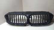 Vorderer oberer Gitter BMW 5 (G30) 540 d xDrive 187156