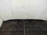 Dachreling links BMW X5 (E70) 61080771