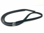 Türgummi rechts vorne Maserati Quattroporte V ()