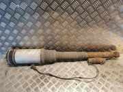 Stoßdämpfer hinten links MERCEDES-BENZ S (W220) S 400 CDI (220.028, 220.128) A2203205013 2203205013