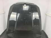 Motorhaube BMW X5 (E70) xDrive 30 d 41617486754