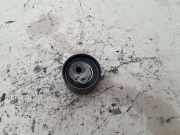 Umlenkrolle für Keilrippenriemen Renault Scenic II (JM) 8200585574