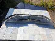 Vorderer oberer Gitter CHRYSLER VOYAGER IV (RG, RS) 3.3 4857292AA 4857300AA