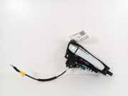 Türgriff rechts vorne Audi A6 (4G, C7)