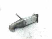 Abgaskühler Fiat Ducato Kasten (250) 9800570780