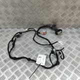 Türverkabelung hinten links PEUGEOT 3008 II SUV Hybrid 9829074380