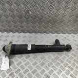 Stoßdämpfer hinten links SKODA ENYAQ iV SUV (5AC, 5AZ) 80X 4x4 1EA512037P EM585001