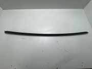 Zierleiste Windschutzscheibe Frontscheibe AUDI A5 (F53) 2.0 TFSI quattro 8W6854328B