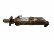 AGR-Kühler TOYOTA YARIS (_P9_) 1.4 D-4D (NLP90_) 256010N010
