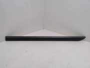 Türverkleidung links hinten Mercedes-Benz R-Klasse (W251) A2516902562