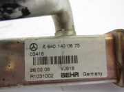 AGR-Kühler MERCEDES-BENZ A (W169) A 160 CDI (169.006, 169.306) R1031002 A6401400875