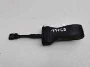 Türanschlag hinten rechts