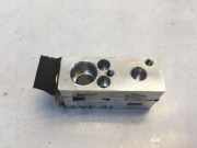 A/C Conditioner Expansion Valve NISSAN JUKE (F16) 1.0 T87650C