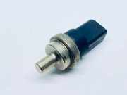 Kraftstofftemperatursensor VW PHAETON (3D_) 5.0 V10 TDI 4motion 038906081B