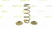 Schraubenfeder hinten links MERCEDES-BENZ A (W169) A 180 CDI (169.007, 169.307) A1693242604
