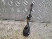 Antenne Dach Nissan X-Trail II (T31)