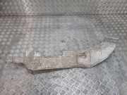 Heat Insulation JAGUAR F-TYPE Cabrio (X152) 2.0 i4 GX53111B26AA