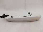 Türaußengriff hinten rechts BMW X3 (G01, F97) xDrive 20 d 849202002