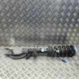 Stoßdämpfer vorne rechts BMW X5 (G05) xDrive 30 d Mild-Hydrid 6896440 6876684