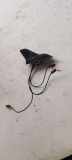 Antenne VW GOLF V (1K1) 1.9 TDI 3C0035507P
