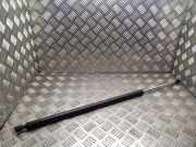 Heckklappe Gasdruckfeder links RENAULT ESPACE IV (JK0/1_) 2.0 dCi (JK01, JK02, JK1J, JK1K) 8200021974