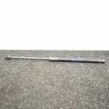 Heckklappe Gasdruckfeder links AUDI A4 Avant (8W5, B9) 2.0 TDI 8W9827552C