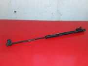 Heckklappe Gasdruckfeder links CITROËN C-CROSSER (EP_) 2.2 HDi 5802A007