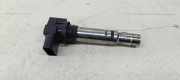 Zündspule VW POLO (AW1, BZ1, AE1) 1.5 TSI 0040102030