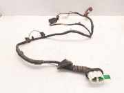 Kabel Tür Ford Maverick II () 7L8T14631J4CP0