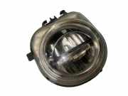 Nebelscheinwerfer links vorne BMW X3 (F25) 7317252