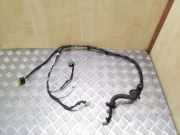 Türverkabelung hinten links NISSAN X-TRAIL (T31) 2.0 dCi 24127JH10A