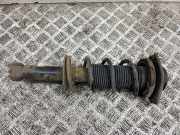 Stoßdämpfer hinten rechts TOYOTA GT 86 Coupe (ZN6_) 2.0 GT (ZN6AC_, ZN6BC_) 20365CA100